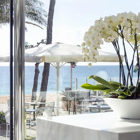 호텔 Aromar 플라티야 다로