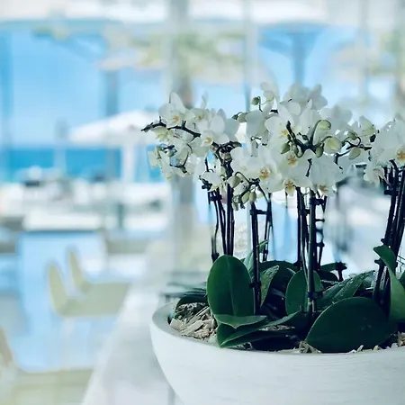 Aromar 호텔 플라티야 다로